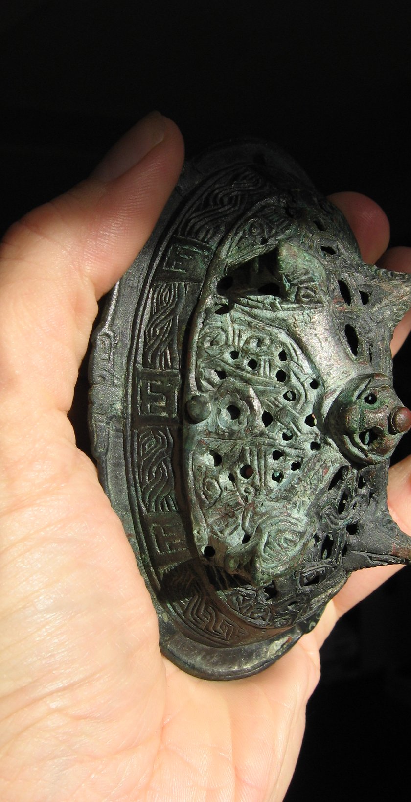 Viking tortoise brooch