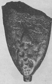 Ornament detail of sword scabbard chape of Baltic-Varangian group no. 86, found in  Kiauten, Kr. Samland, East Prussia