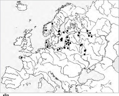 Distribution map viking sword chape Falcon motif